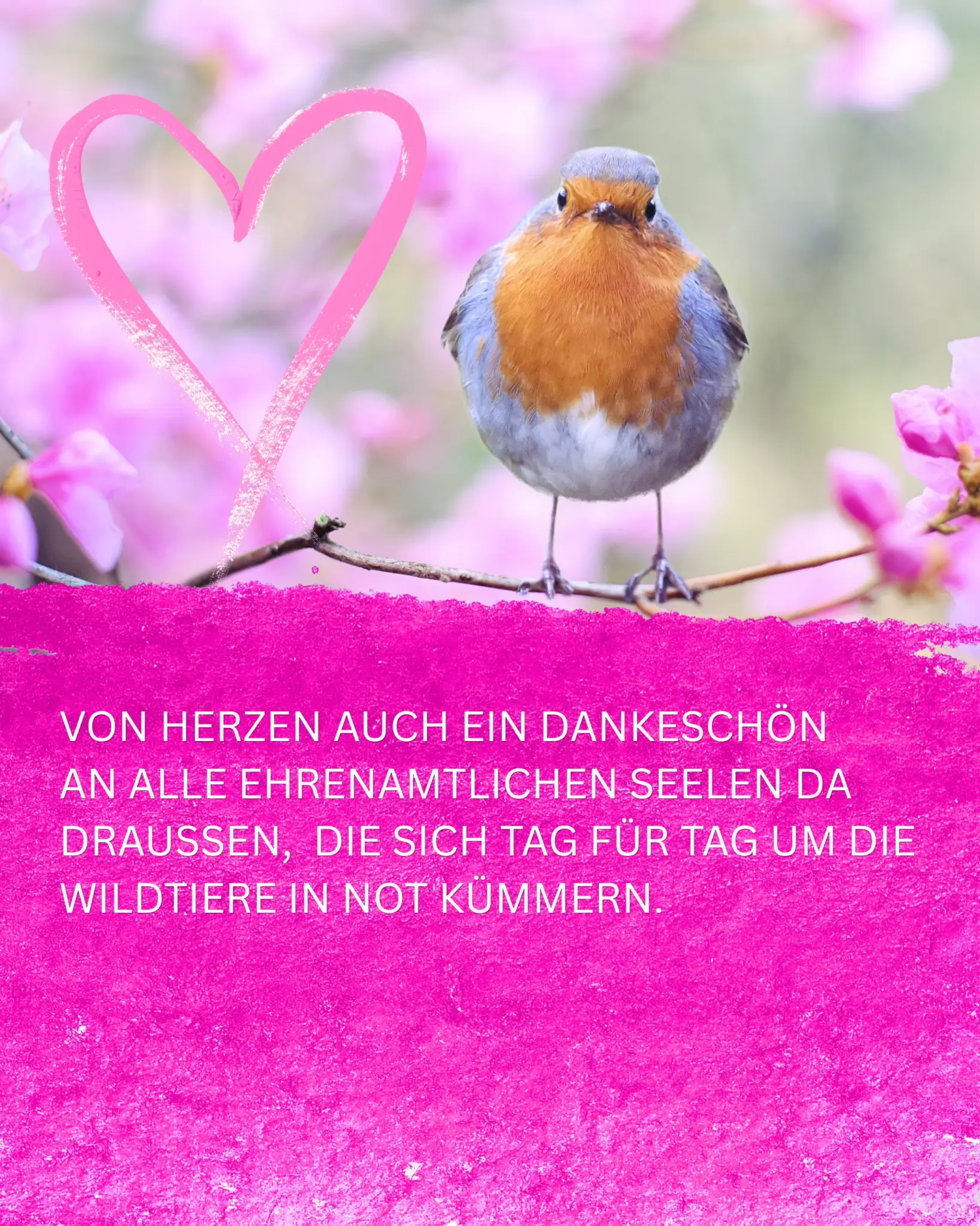 AUFNAHMESTOPP WILDVÖGEL- WIR SIND VOLL!!