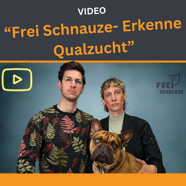 Frei Schnauze! Qualzucht ehrlich erklärt! – Tierschutzverein Freiburg e.V.